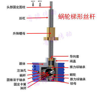 蝸輪提升<a id=